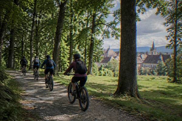 Full-Suspension E-Bike Ride, Sibiu