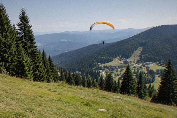 A paraglider canopy drifting over a green mountain valley with dark forest on the slopes, seen from a hillside launch meadow, Păltiniș