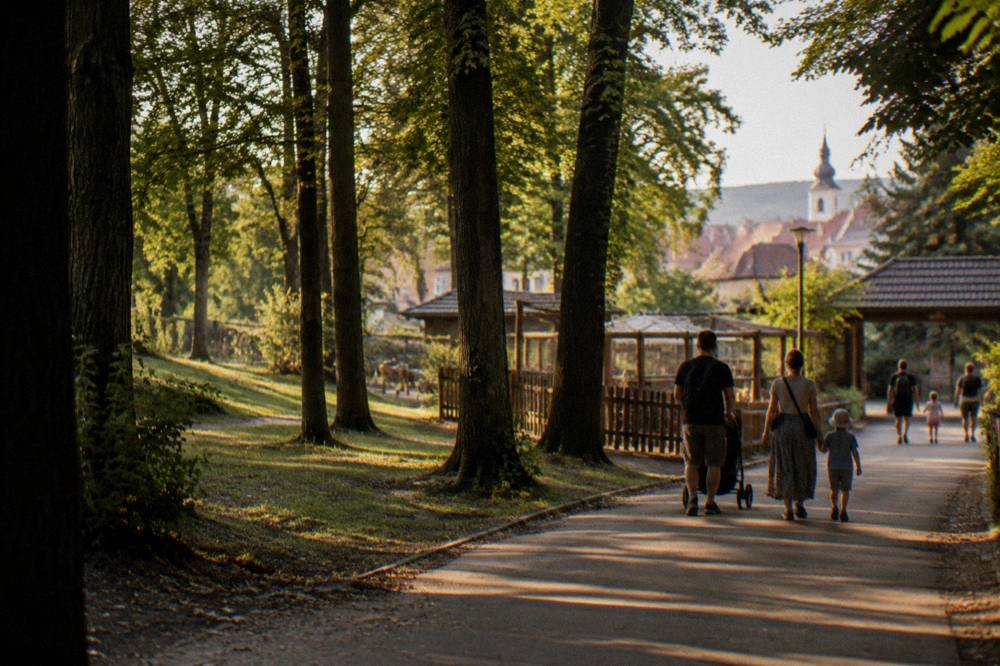 Families walking a paved path beside trees near a small city zoo entrance area