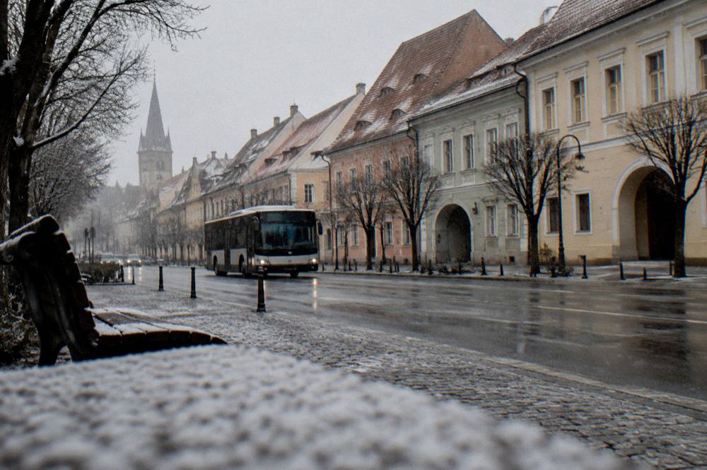 A city bus on a tree-lined avenue on the southern edge of Sibiu