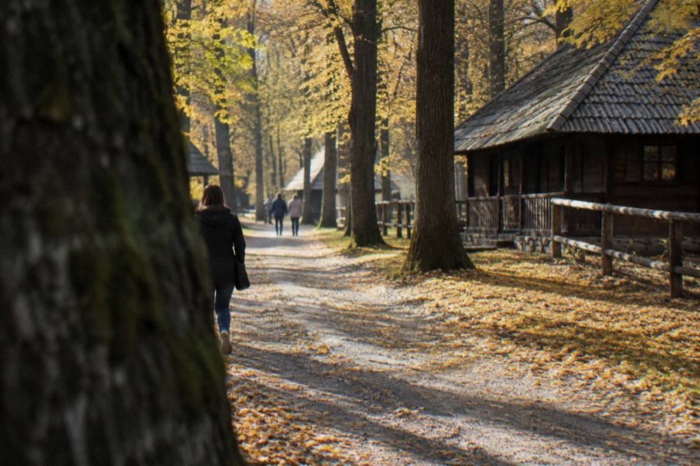 Golden autumn leaves covering a forest path beside traditional wooden buildings