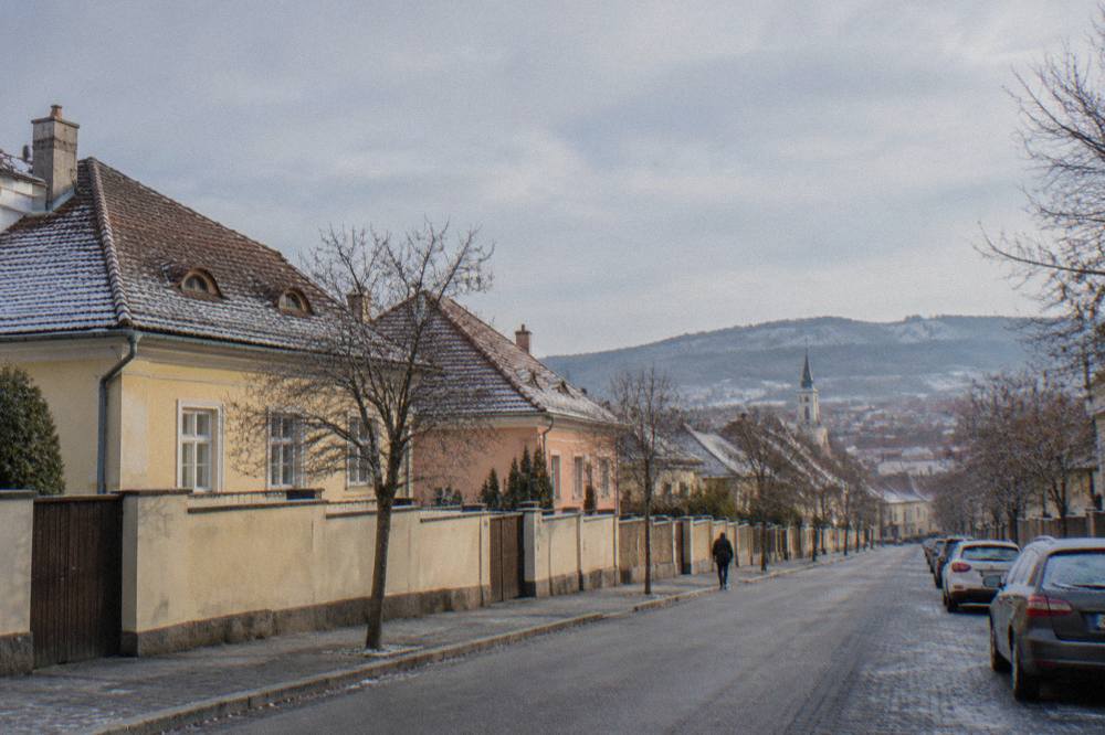 Low houses along a Turnișor sidewalk with trees and parked cars on a bright morning
