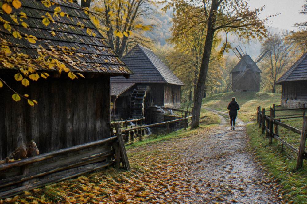 Autumn leaves over wooden barns along a path in the ASTRA Museum in Dumbrava forest