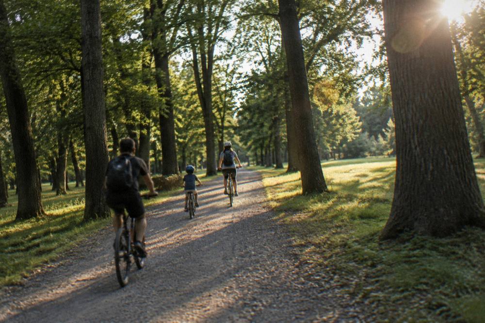 A family cycling together on a wide gravel lane between trees in the Dumbrava forest park