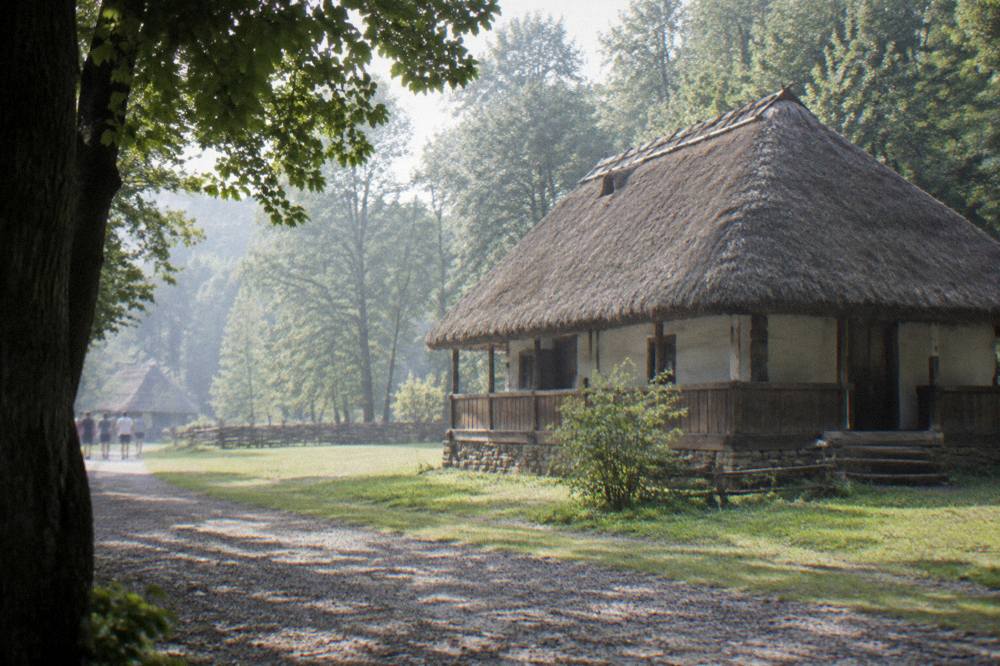 A wooden traditional house with a thatched roof in a forest clearing at the ASTRA museum in Dumbrava Sibiului