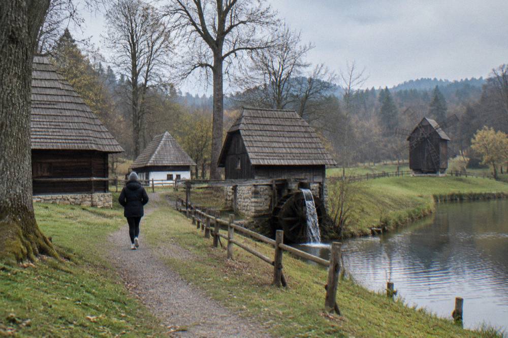 Wooden rural farm buildings and a mill beside a forest lake in an open-air museum