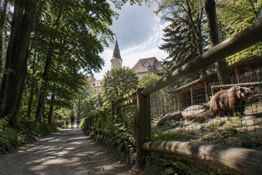 A shaded path runs beside an animal enclosure, dappled light on the fence
