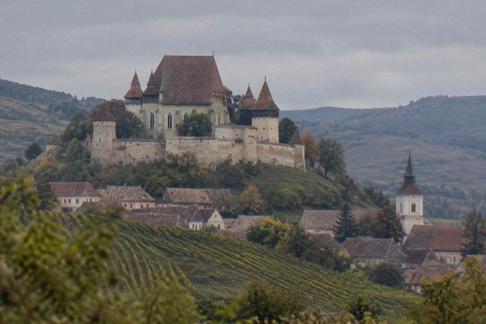 Vineyard rows on hillsides below a village with a church tower