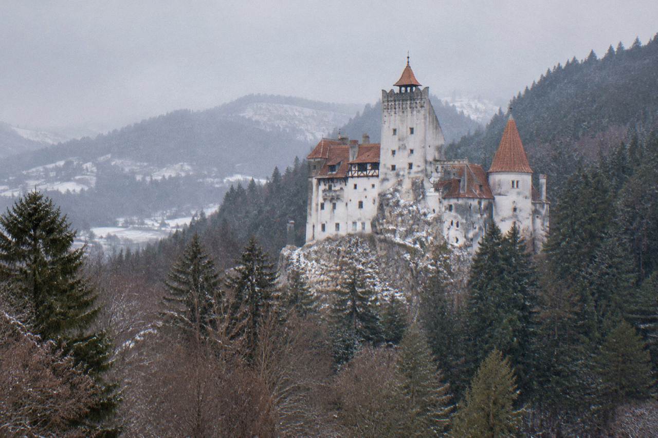 Bran Castle rising on a forested Transylvanian hillside with its white towers and red-tiled roofs