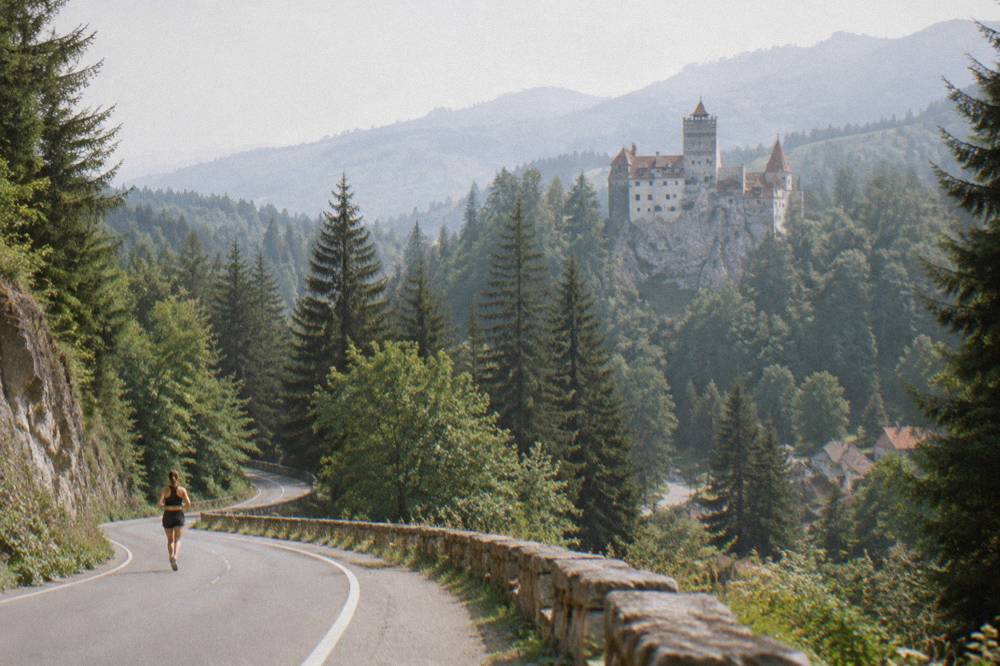 A winding mountain road descending through fir forest toward the Bran pass village