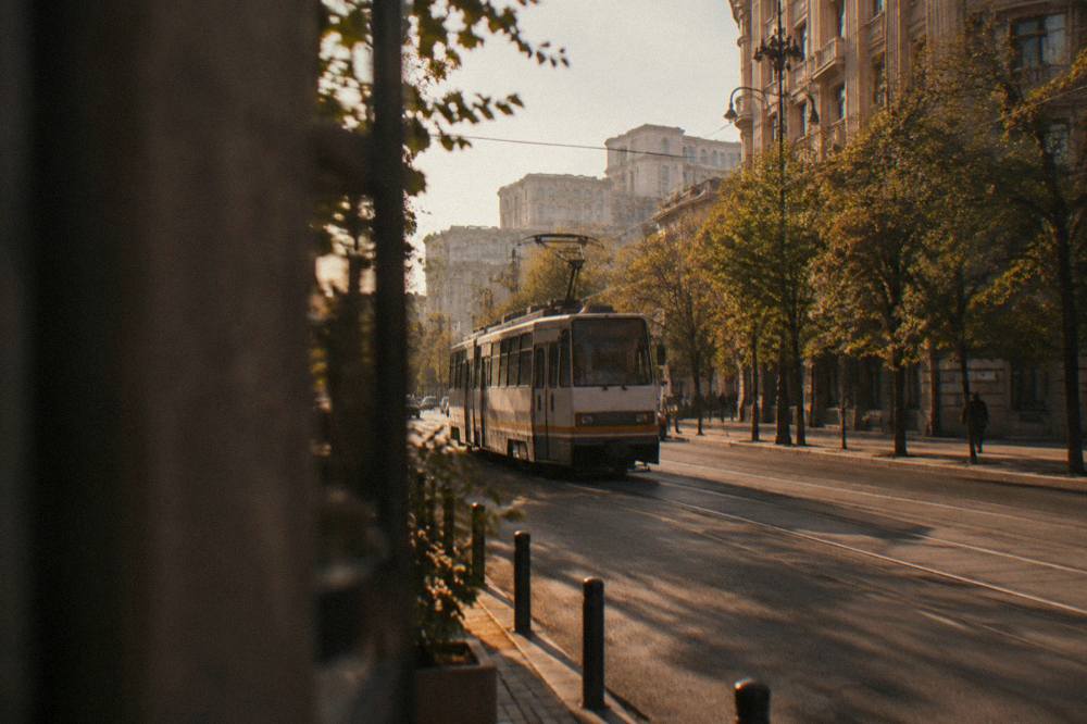 A tram moving along a city street in Bucharest lined with trees and apartment blocks