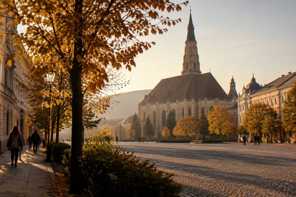 Autumn trees along a city boulevard with historic buildings in soft afternoon light