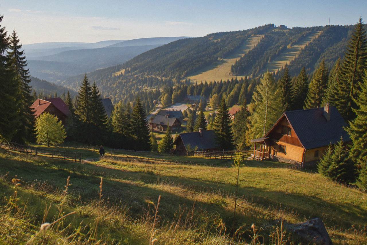 A forested mountain resort valley with ski slopes and fir trees under a blue sky