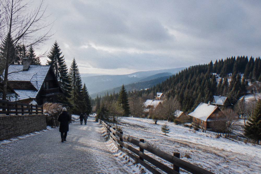 A signpost at the edge of a snowy resort clearing with forest and low clouds behind