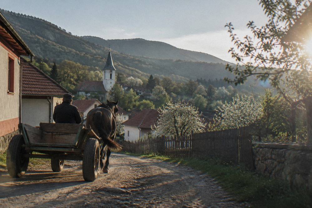A horse-drawn cart on a dirt lane between village houses and orchards