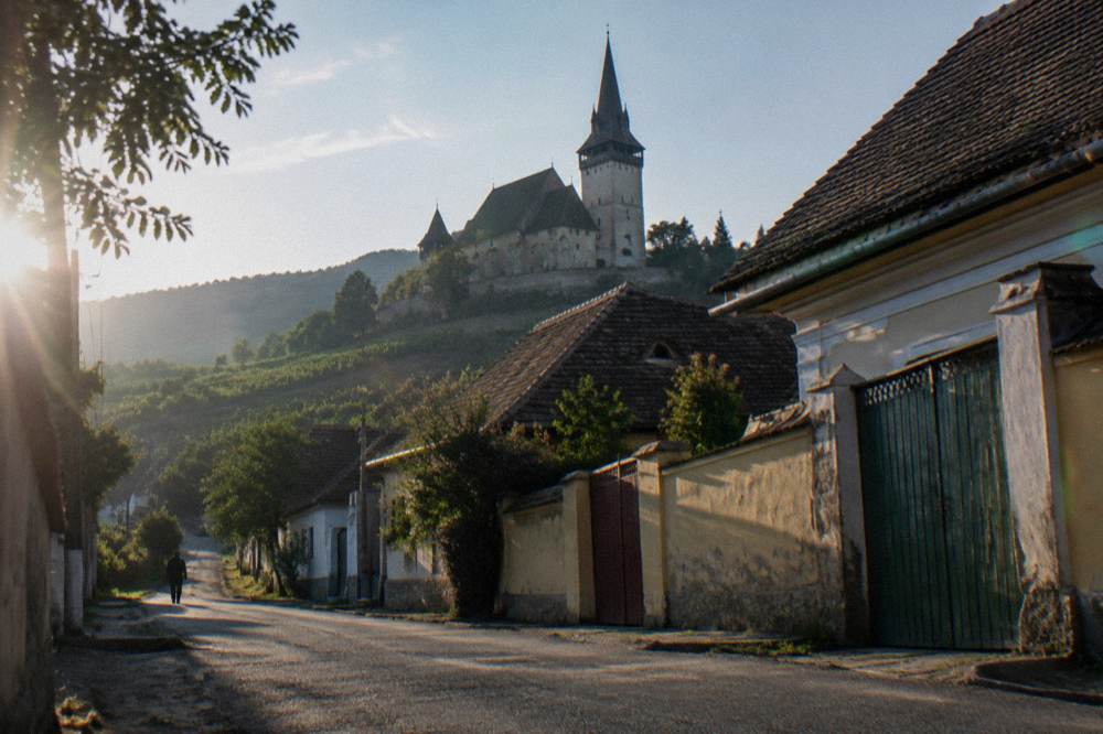 Saxon village houses with long gardens and painted gates along a quiet street