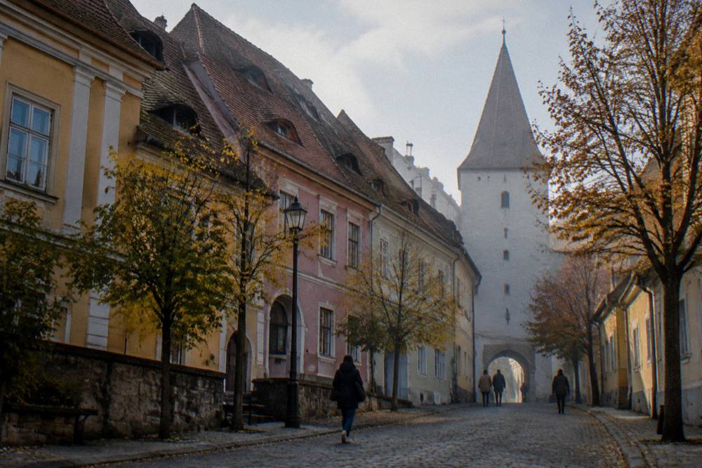Autumn trees along a Sibiu street with the Council Tower in the background