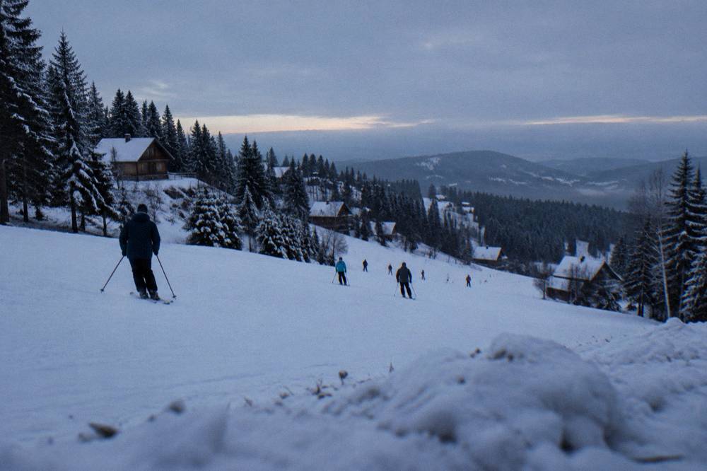 Skiers on a gentle slope between snow-covered spruce trees at Păltiniș